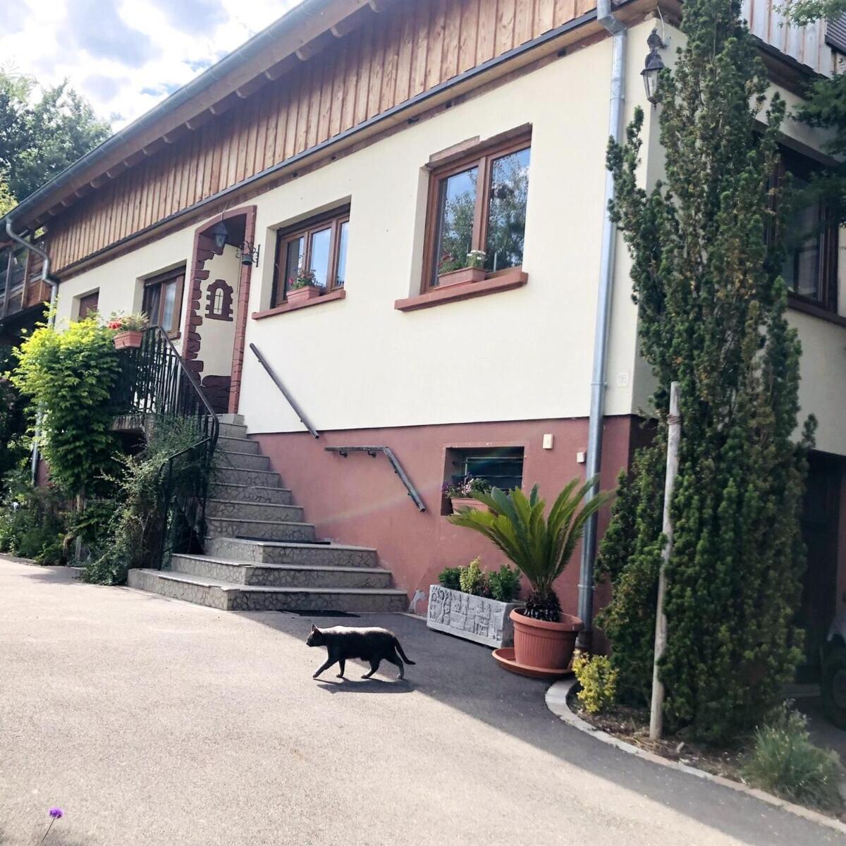 Gite Du Ried Bischwiller ภายนอก รูปภาพ