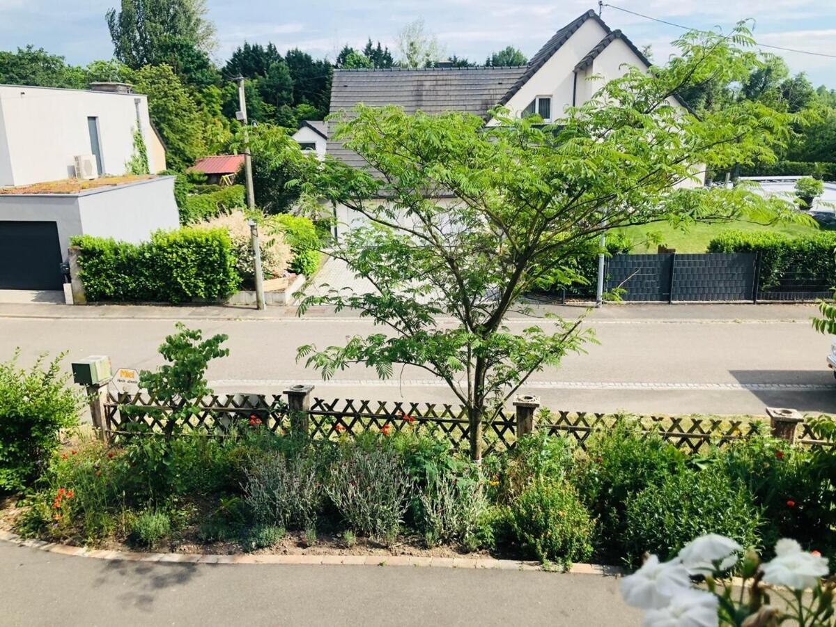 Gite Du Ried Bischwiller ภายนอก รูปภาพ