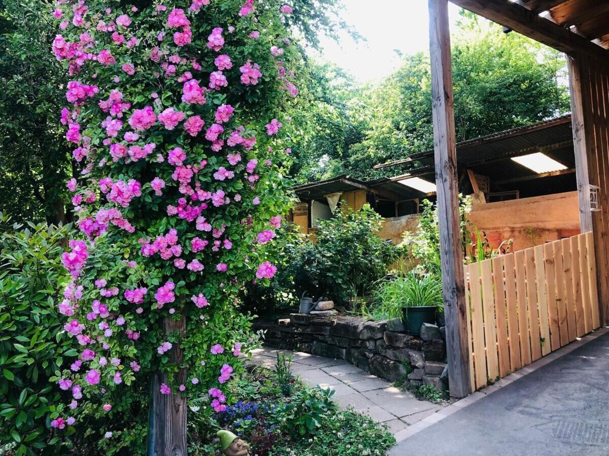 Gite Du Ried Bischwiller ภายนอก รูปภาพ